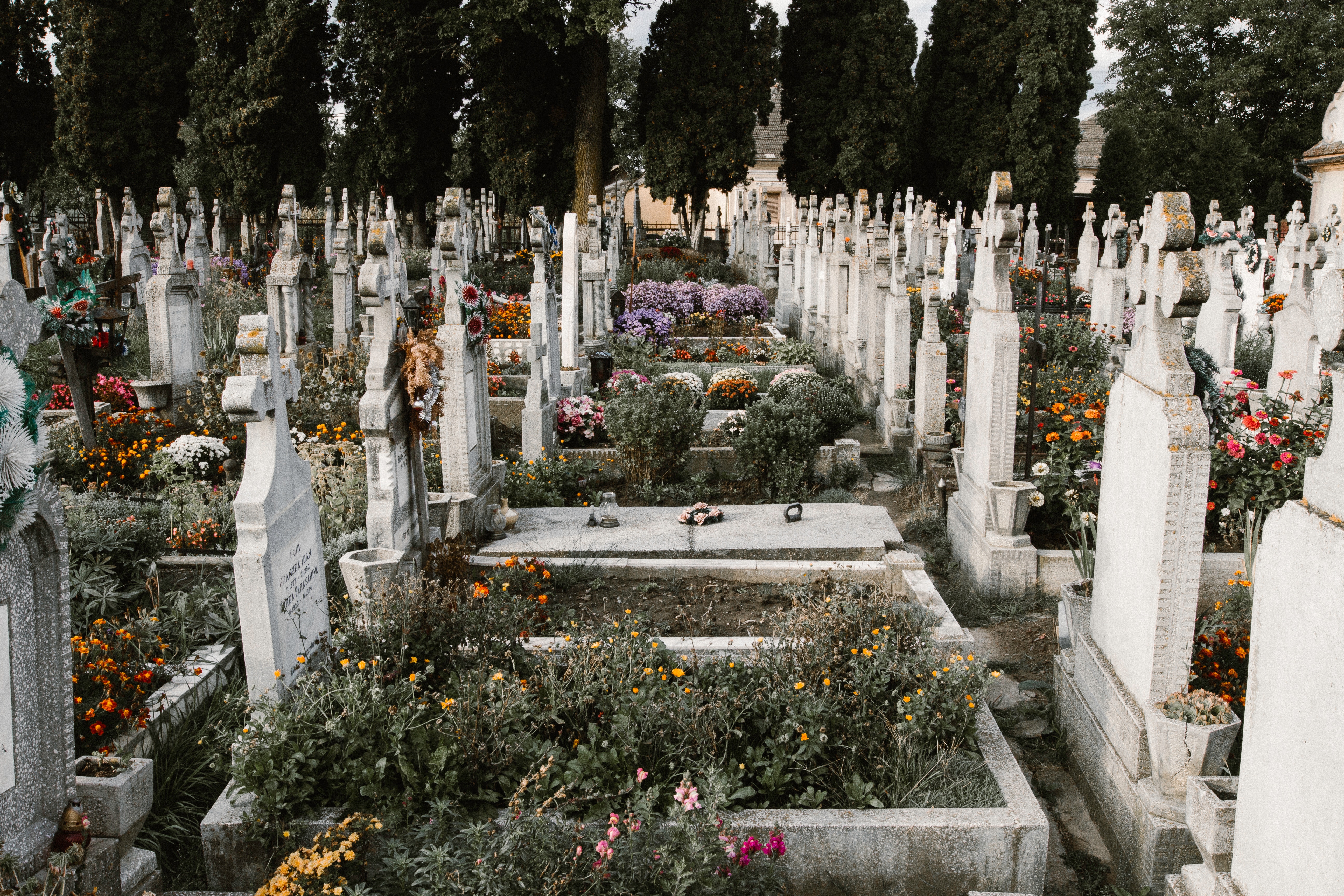 11 Funeral Poems For Readings Eulogies And Mourning