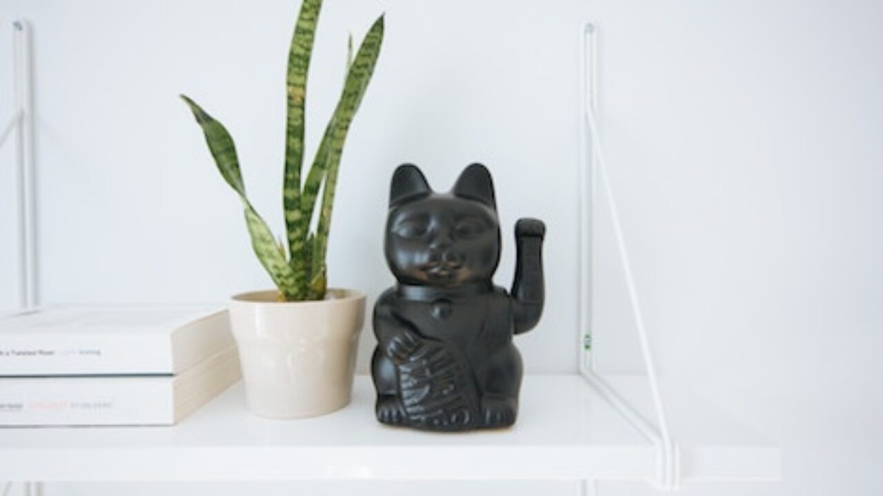 black cat bookends