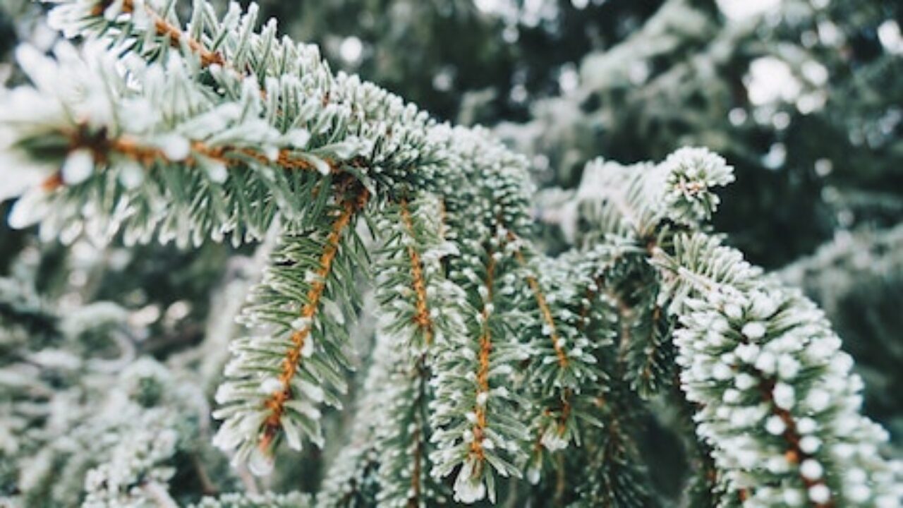 Literary Winter Quotes For Embracing The Season