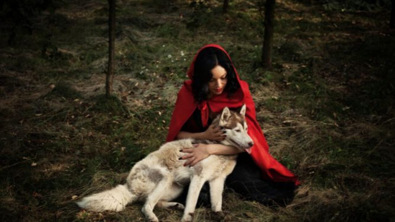 10 Little Red Riding Hood Retellings All Ages |