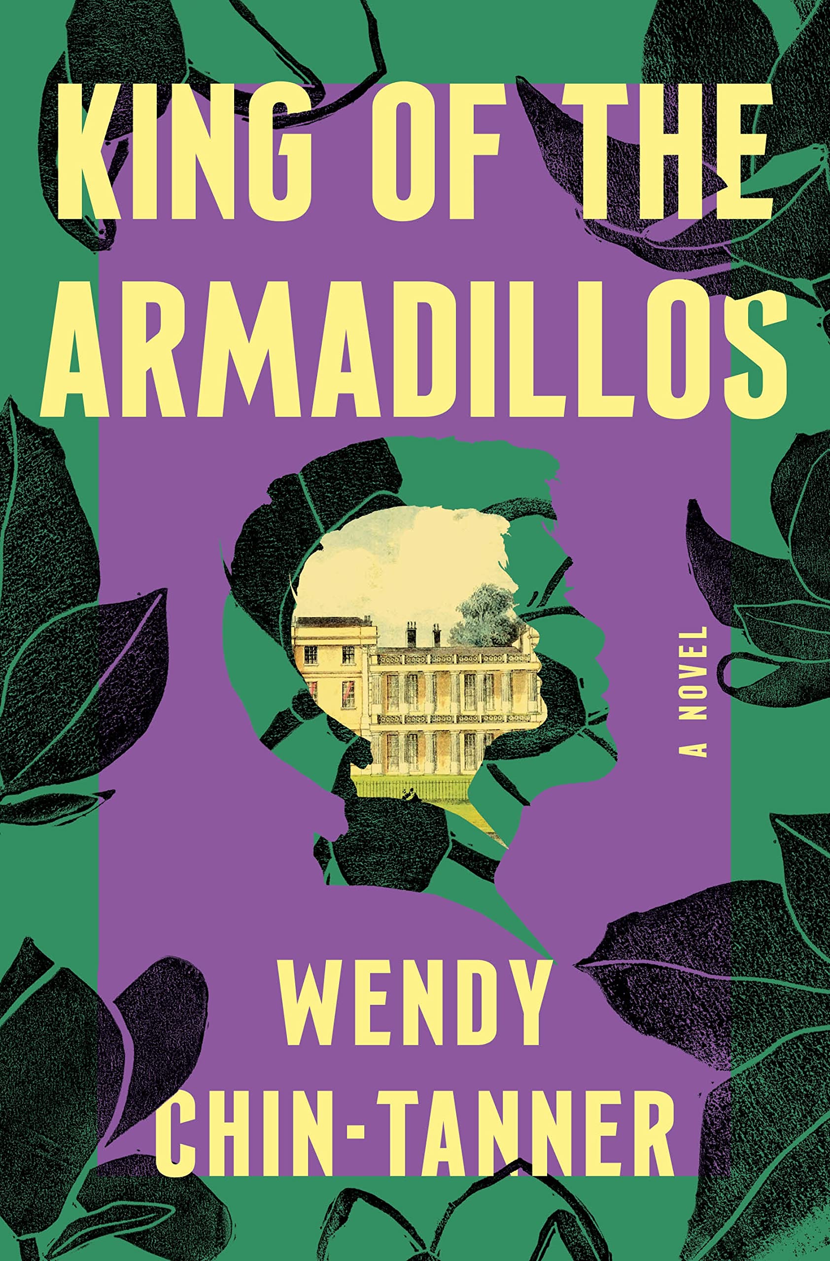cover of King of the Armadillos