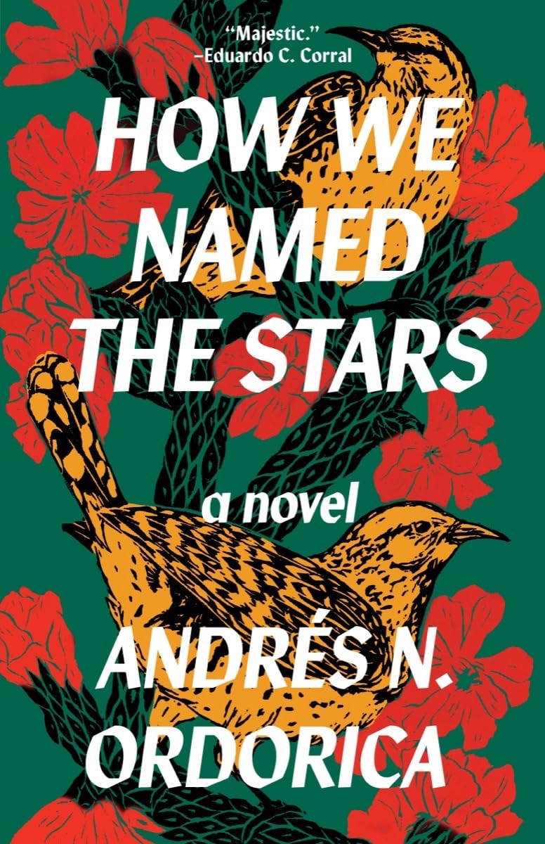 cover of How We Named the Stars by Andrés N. Ordorica