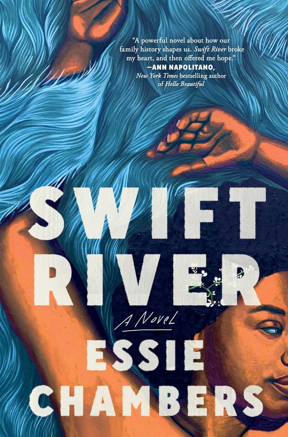 cover of Swift River by Essie Chambers