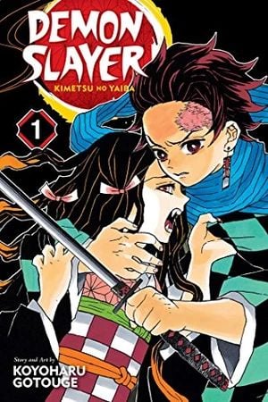 cover of Demon Slayer Kimetsu no Yaiba