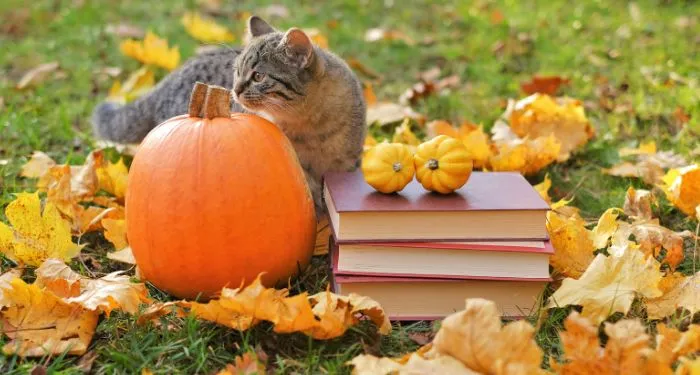 Falling Leaves (of Books): Graphic Novels That Are Giving Autumn