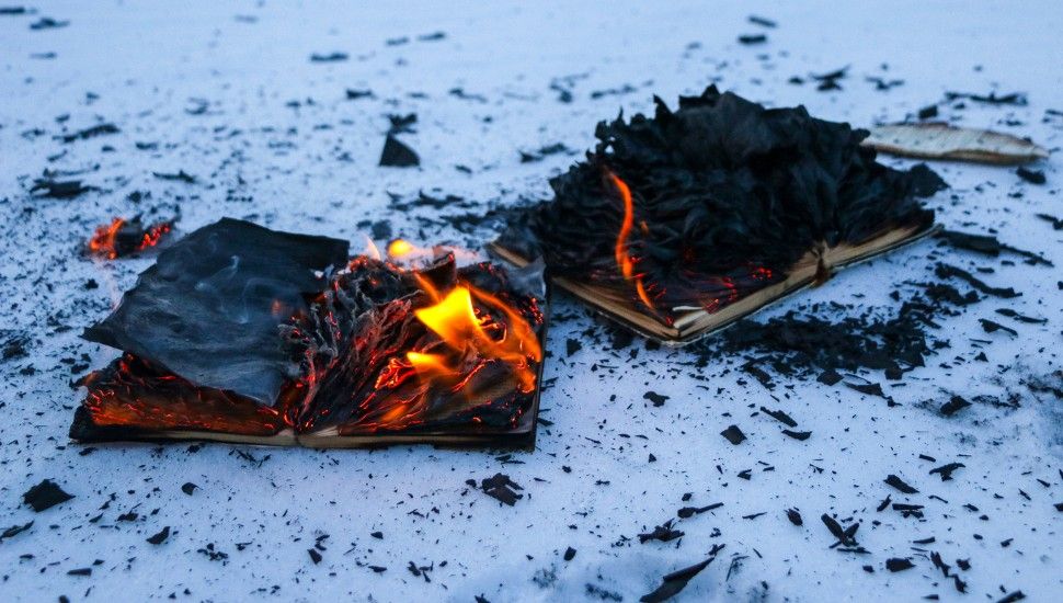 image of two burned books